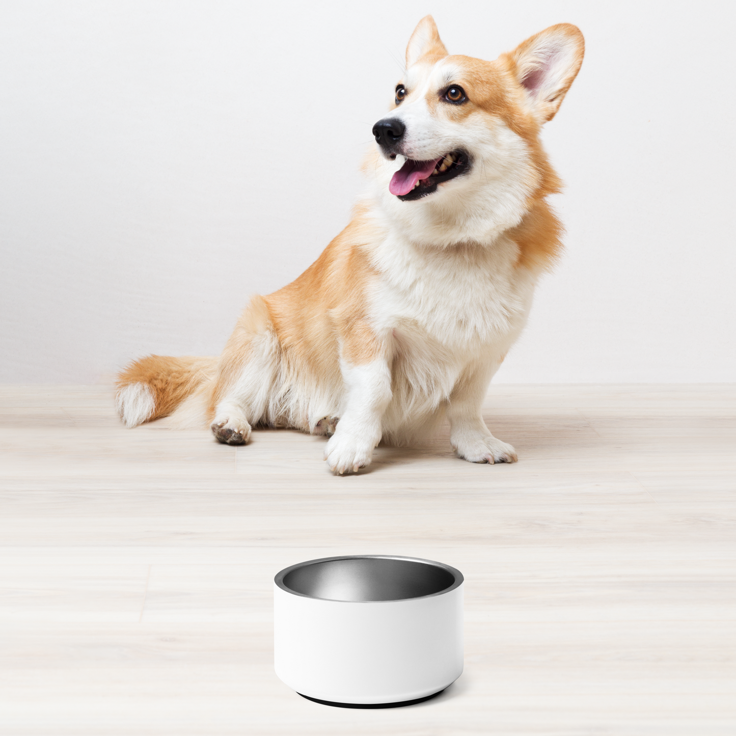 Pet bowl