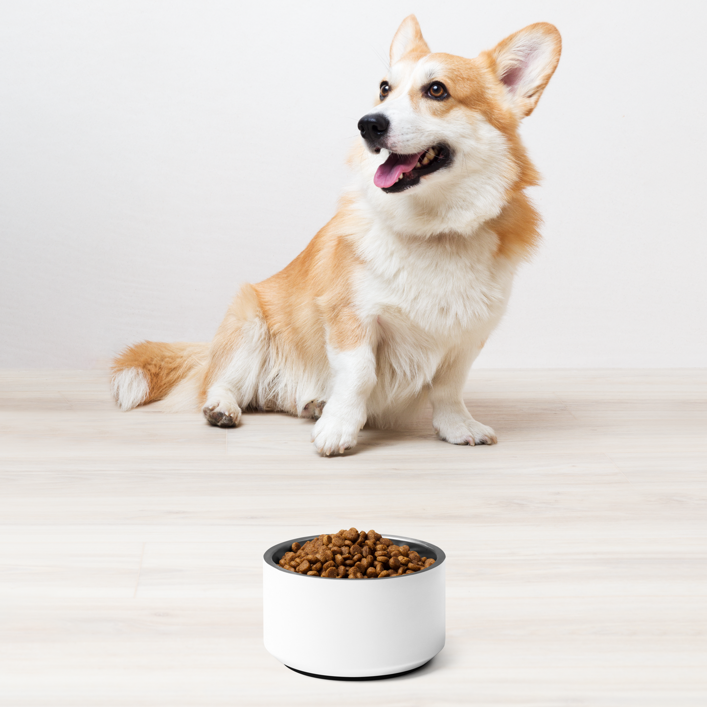 Pet bowl